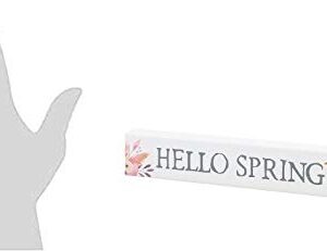 Collins Painting 'Hello Spring' Mini Floral Shelf Sitter Sign - Wooden Tabletop Decoration for Spring, Easter Home Decor