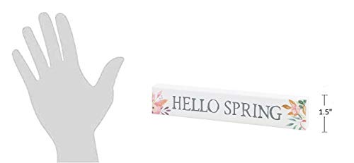 Collins Painting 'Hello Spring' Mini Floral Shelf Sitter Sign - Wooden Tabletop Decoration for Spring, Easter Home Decor