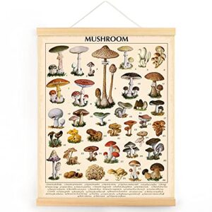 vintage mushroom poster fungus wall art prints rustic mushroom wall hanging illustrative reference chart poster for living room office classroom bedroom dining room decor frame, 15.7 x 19.7 inches