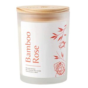 Plant Therapy Natural Bamboo Rose Aromatherapy Candle - Vegan Soy & Coconut Wax, 8 oz, Long Lasting, Hand Poured in The USA, Scented with Essential Oils