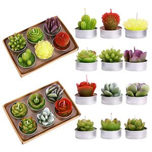 12 pcs cactus tealight candles delicate succulent cactus candles for valentine’s day birthday party wedding spa home decoration gifts