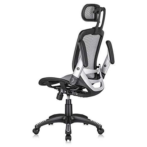 GABRYLLY Ergonomic Mesh Office Chair, High Back Desk Chair - Adjustable Headrest with Flip-Up Arms, Tilt Function, Lumbar Support and PU Wheels, Swivel Computer Task Chair, Grey