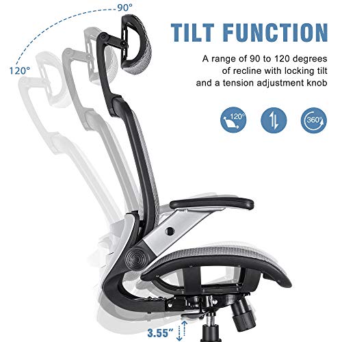 GABRYLLY Ergonomic Mesh Office Chair, High Back Desk Chair - Adjustable Headrest with Flip-Up Arms, Tilt Function, Lumbar Support and PU Wheels, Swivel Computer Task Chair, Grey