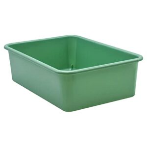 teacher created resources® eucalyptus green large plastic storage bin