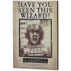 Open Road Brands Harry Potter Sirius Wanted Poster 3D Wood Wall Decor - Vintage Harry Potter Wall Art - Have You Seen This Wizard?