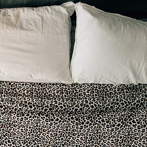 GRACED SOFT LUXURIES Throw Blanket Fleece Minky Microfiber Soft Throw (Leopard, XL Throw | Twin Size 60" x 80")