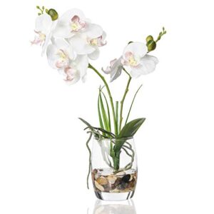 jusdreen artificial flower bonsai with glass vase vivid orchid flowers arrangement phalaenopsis flowers pot for home office décor table centerpiece house decorations(glass vase/white orchid)