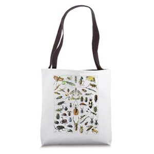 insects insect bug vintage entomology print gift bug print tote bag