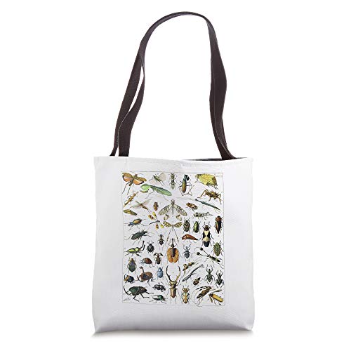 Insects Insect Bug Vintage Entomology Print gift Bug Print Tote Bag