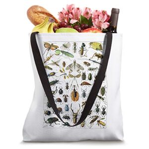 Insects Insect Bug Vintage Entomology Print gift Bug Print Tote Bag