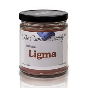 ligma – randomly assorted scents – funny 6 oz jar candle – 40 hour burn time