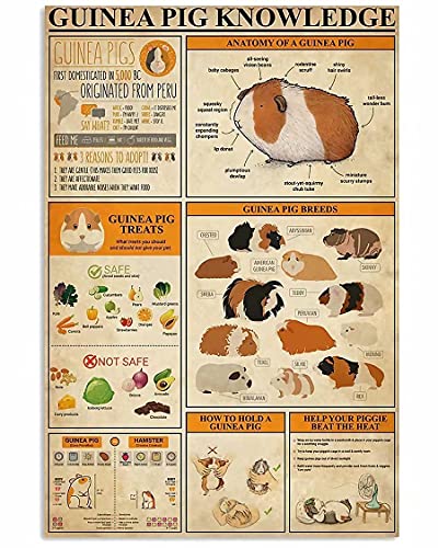 QSHPO Guinea Pig Knowledge Metal Signs Retro Plaque Science Guide Posters Farm Club Home Wall Decor Aesthetic Room Decor 8x12 Inches