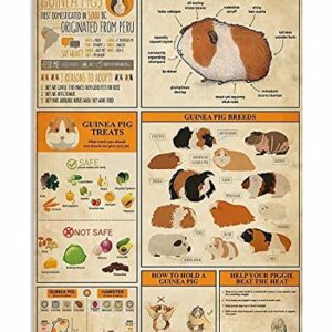 QSHPO Guinea Pig Knowledge Metal Signs Retro Plaque Science Guide Posters Farm Club Home Wall Decor Aesthetic Room Decor 8x12 Inches