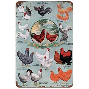 Cute Educational Chicken Knowledge Breeds of Chickens Chart Vintage Metal Tin Sign For Farm Club Cafe Bar Home Kitchen Wall Decoration 12" x 8"