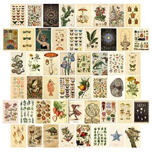 haoran vintage wall collage kit aesthetic pictures,50 pcs of 4×6 inch,cottagecore room decor for bedroom aesthetic, posters for room aesthetic, cute trendy boho wall decor for teen girls,photo pictures dorm wall art
