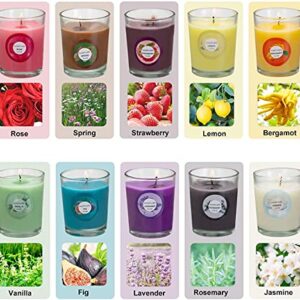 DALANG Scented Candles, Anxiety Reducer Jasmine, Rose, Vanilla, Bergamot, fig, Lavender, Lemon, Spring,Strawberry, Rosemary, Aromatherapy Organic Massage Candles - 20 Pack