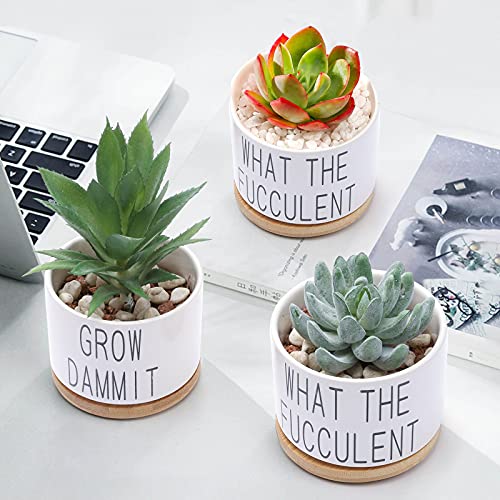 Succulent Pots, Popvip 3.15 Inch Ceramic Funny Planter Pots with Bamboo Tray, Housewarming Gift for Women, Best Friend, Daughter, Mom, Coworker, Pack of 2 - Plants Not Included (A)