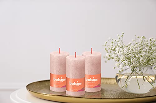 BOLSIUS 4 Pack Misty Pink Rustic Pillar Candles - 2 X 4 Inches - Premium European Quality - Natural Eco-Friendly Plant-Based Wax - Unscented Dripless Smokeless 30 Hour Party Décor and Wedding Candles