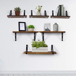 TJ.MOREE Floating Shelves Wall Mounted Decor Set of 3 - Carved Carbonized Brown