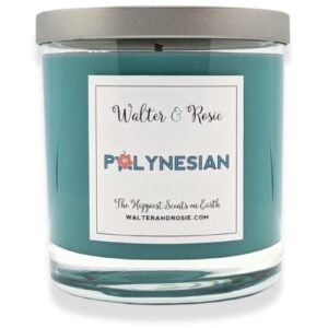 walter & rosie candle co. – polynesian 11oz scented candle inspired by disney scents – smell like disney resorts – the happiest scents on earth – soy blend – burns up to 40 hrs