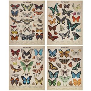 spiareal 4 pieces butterflies posters vintage papillons butterflies poster wall art prints butterfly printed wall art posters butterfly vintage decor butterfly pictures paper for home bedroom