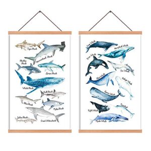 hpniub natural wood magnetic hanger frame poster- shark & whale wall art print ,sea life canvas poster,educational science wall art painting for classroom decor, 28x45cm frames hanging kit