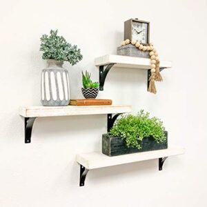 Del Hutson Designs Industrial Grace Simple Shelves, 3-Piece Set (White, 16", 20", 24")