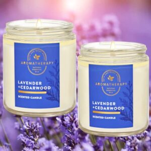 Bath and Body Works Lavender Cedarwood (7oz/ 198 g) 2-Piece Pack Single Wick Candle