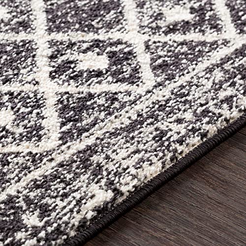 Artistic Weavers Chester Boho Moroccan Runner Area Rug,2'7" x 16',Black