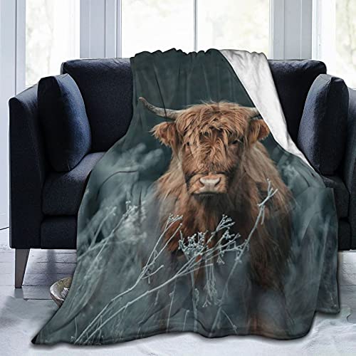 Highland Cow Sherpa Blanket,Natural Western Wildlife Animal Cow Cattle Pattern Landscape All Season Warm Lightweight Cozy Plush Bed Blankets for Bedroom Living Room Sofa Couch 50 x 40 Inches