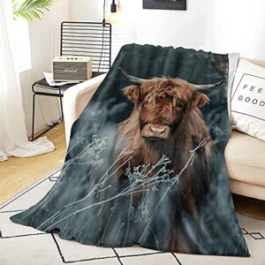 Highland Cow Sherpa Blanket,Natural Western Wildlife Animal Cow Cattle Pattern Landscape All Season Warm Lightweight Cozy Plush Bed Blankets for Bedroom Living Room Sofa Couch 50 x 40 Inches