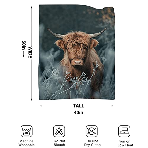 Highland Cow Sherpa Blanket,Natural Western Wildlife Animal Cow Cattle Pattern Landscape All Season Warm Lightweight Cozy Plush Bed Blankets for Bedroom Living Room Sofa Couch 50 x 40 Inches