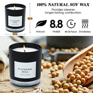 Candles for Home Scented, 8.8oz BlackBerry Spice Aromatherapy Candles Scented with Long Lasting Burning, Highly Home Scented Candles for Stress Relief Relaxation, Jar Candle Gifts for Women Men