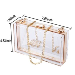 WEDDINGHELPER Transparent Clear Acrylic Square jelly Evening Bag for Women,Fashion Lovely Shoulder Bag for Dinner Party Travel (CLEAR1)