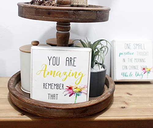 Wartter 6 Inch Decorative Wooden Box Sign - You are Amazing, Remember That