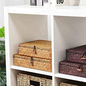 Flat Seagrass Storage Bins with Lid, Wicker Basket for Shelf Organize, Set of 2 (Small+Large)