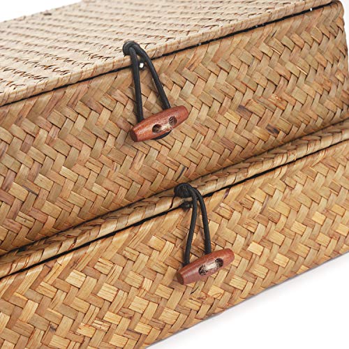 Flat Seagrass Storage Bins with Lid, Wicker Basket for Shelf Organize, Set of 2 (Small+Large)