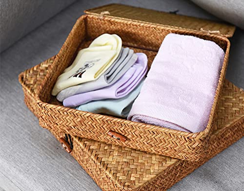 Flat Seagrass Storage Bins with Lid, Wicker Basket for Shelf Organize, Set of 2 (Small+Large)