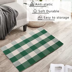 McGuffey Buffalo Plaid Rug 24x36'' Green and White Area Rugs Washable Cotton Hand-Woven Indoor/Outdoor Front Door Decor Mat for Entry，Way，Kitchen，Farmhouse