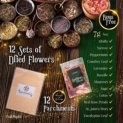 Witchcraft Supplies Kit for Witch Spells – Beginner Witch Starter Kit Crystals Jars Dried Herbs and Colored Candles for Witches Pagan Altar Decor - Wiccan Supplies and Tools Box Witchy Gifts Stuff