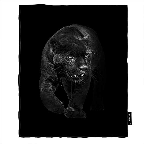 Beabes Panther Throw Blanket Wildlife Black Panther Walking Out of The Dark and Into The Light Warm Throw Blanket Flannel Fleece for Bedroom Sofa Couch Car Deck Chair 60x80 Inch