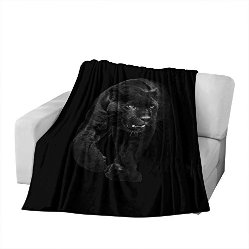 Beabes Panther Throw Blanket Wildlife Black Panther Walking Out of The Dark and Into The Light Warm Throw Blanket Flannel Fleece for Bedroom Sofa Couch Car Deck Chair 60x80 Inch