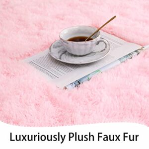 Keeko Premium Fluffy Pink Area Rug Cute Shag Carpet, Extra Soft and Shaggy Carpets, High Pile, Indoor Fuzzy Rugs for Bedroom Girls Kids Living Room Home, 4x5.3 Feet