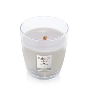 Nature's Wick Smoked Vanilla Scented Candle, 10 ounces