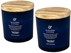 better homes and gardens 12oz scented candle, blue fern and citrus 2-pack
