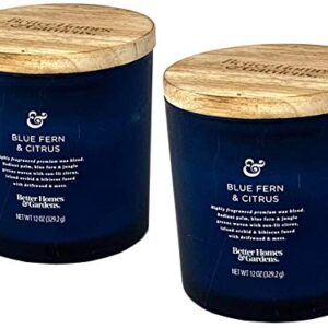 Better Homes and Gardens 12oz Scented Candle, Blue Fern and Citrus 2-Pack