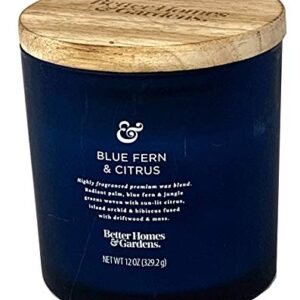 Better Homes and Gardens 12oz Scented Candle, Blue Fern and Citrus 2-Pack