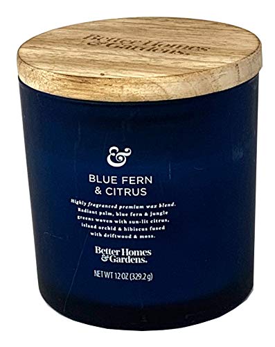 Better Homes and Gardens 12oz Scented Candle, Blue Fern and Citrus 2-Pack
