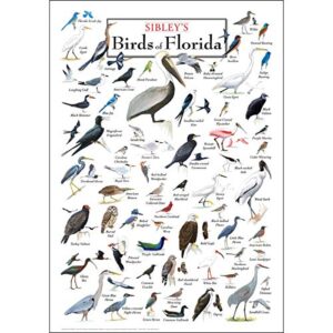 earth sky + water – sibley’s birds of florida – poster