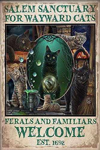 Mystical Cats Salem Sanctuary for Wayward Cats Wall Retro Tin Sign, Bathroom Decoration for Bars, Restaurants, Cafes and Bars, 8x12 Inches New Year, Metal Sign